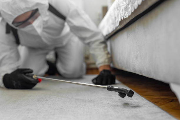 Professional Pest Control technician working in Rochester Hills, MI