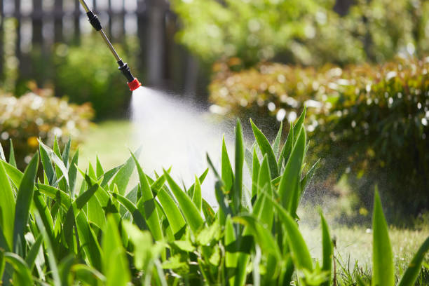 24/7 Emergency Mosquito Control experts in Rochester Hills, MI