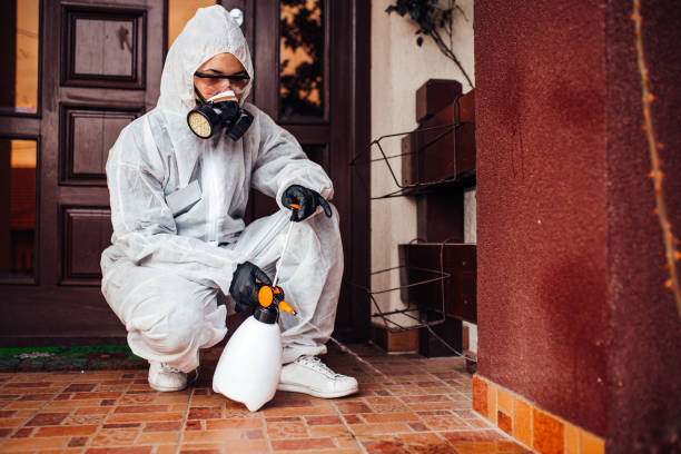 Reliable Mosquito Control contractor in Rochester Hills, MI by Nex Pest Control