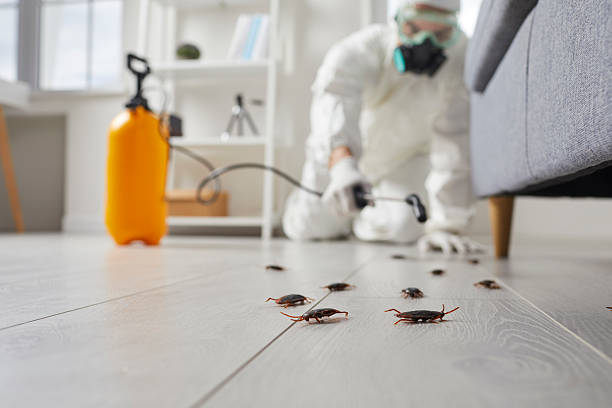 Trusted Mosquito Control service in Rochester Hills, MI - Nex Pest Control