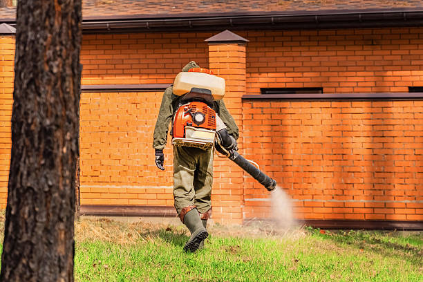 Trusted Emergency Pest Control service in Rochester Hills, MI - Nex Pest Control